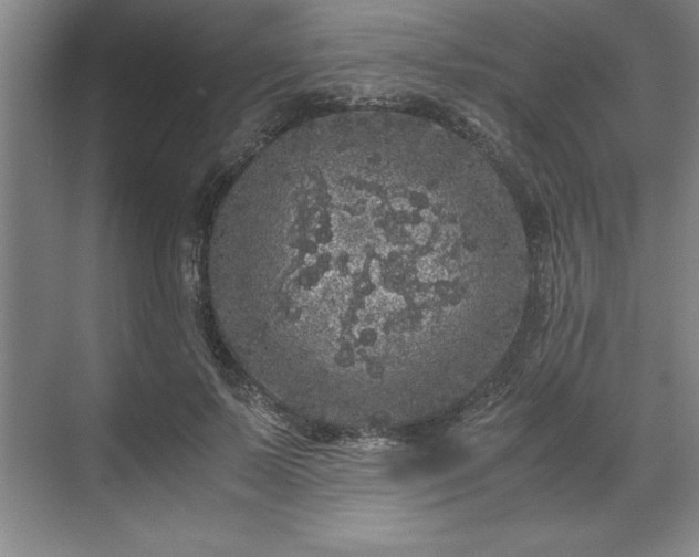 X0000071780695200607071430