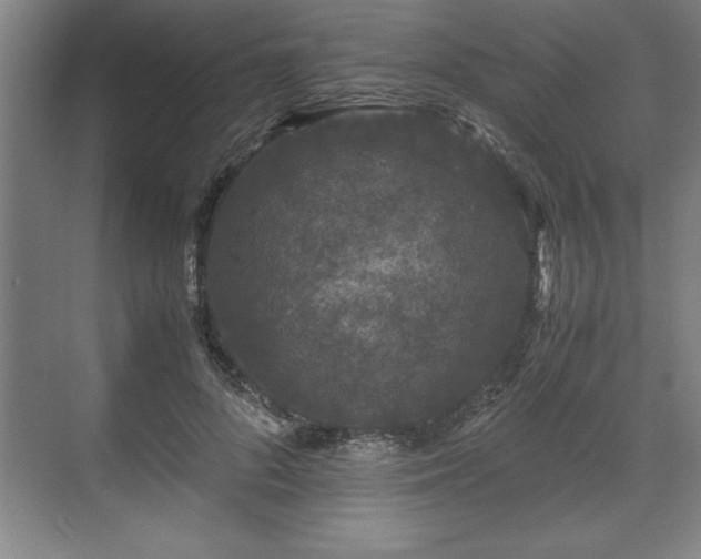 X0000071780696200607071430