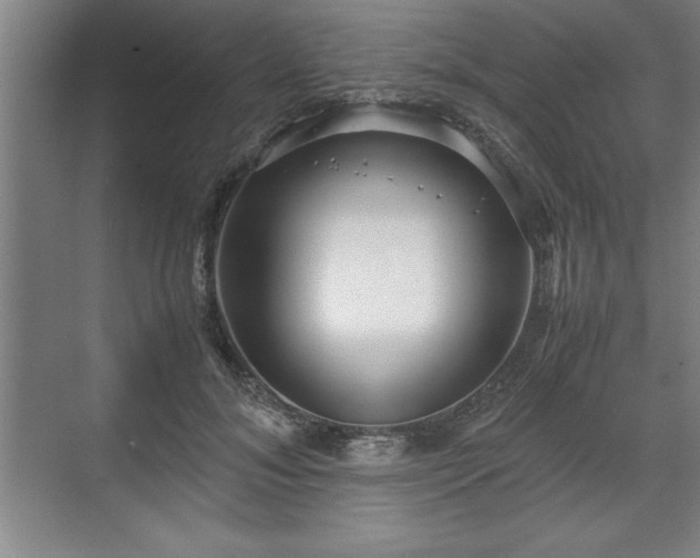 X0000071780700200607071430