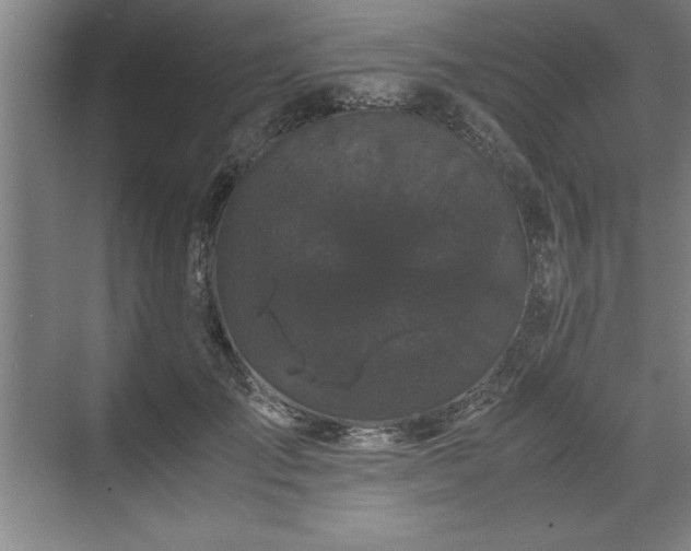 X0000071780701200607071430