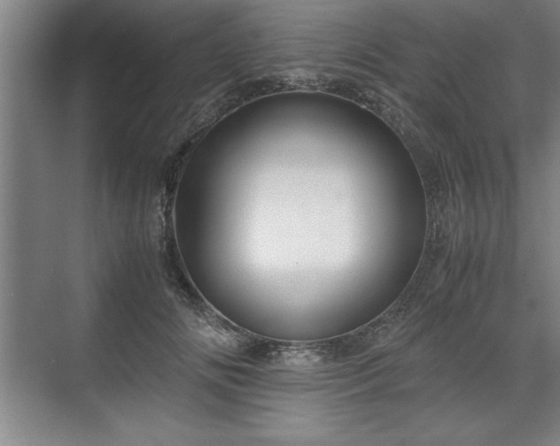 X0000071780702200607071430