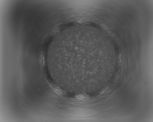 X0000071780703200607071430