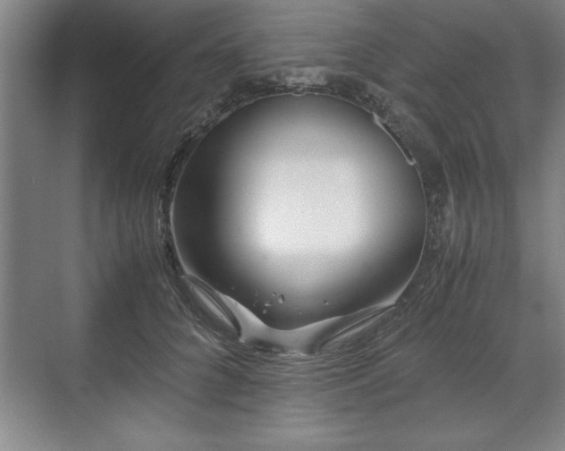 X0000071780704200607071430