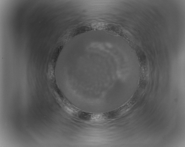 X0000071780705200607071430