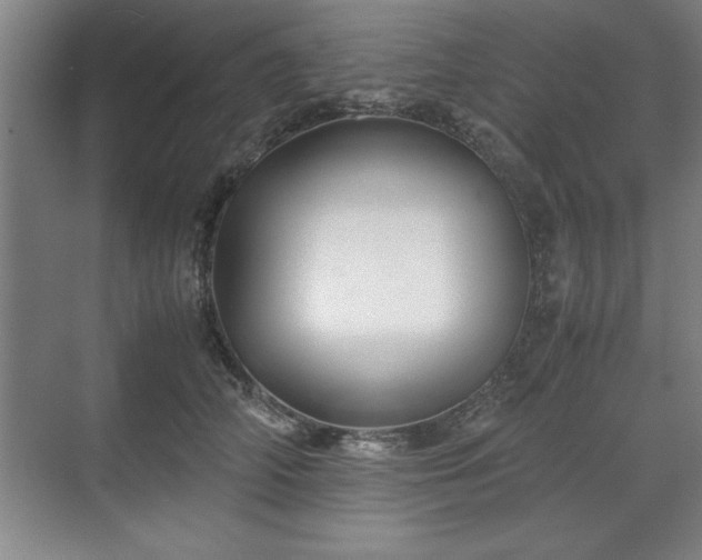 X0000071780706200607071430