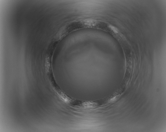 X0000071780707200607071430