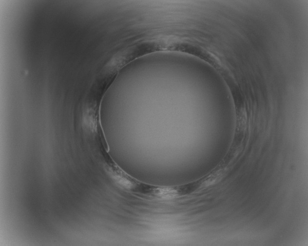 X0000071780719200607071430