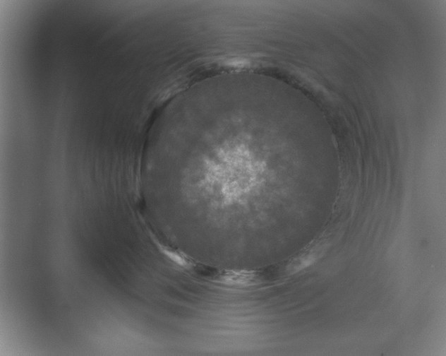 X0000071780720200607071430