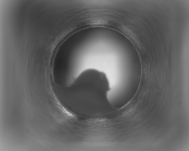 X0000071780721200607071429