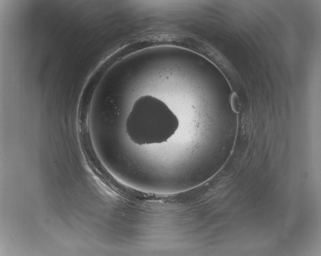 X0000071780722200607071429