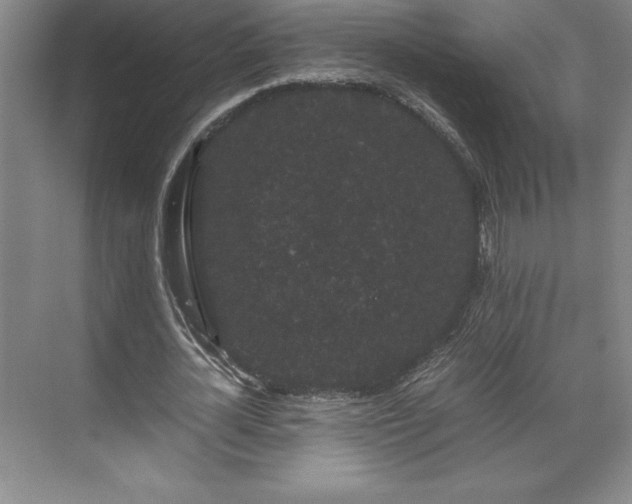 X0000071780724200607071429