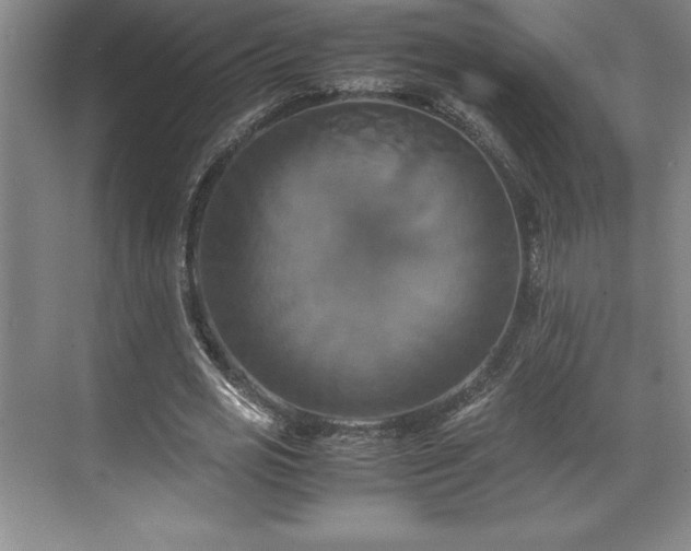 X0000071780725200607071429