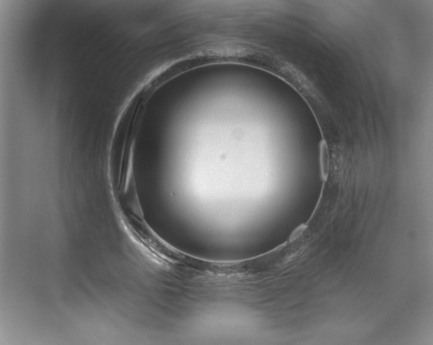 X0000071780726200607071429