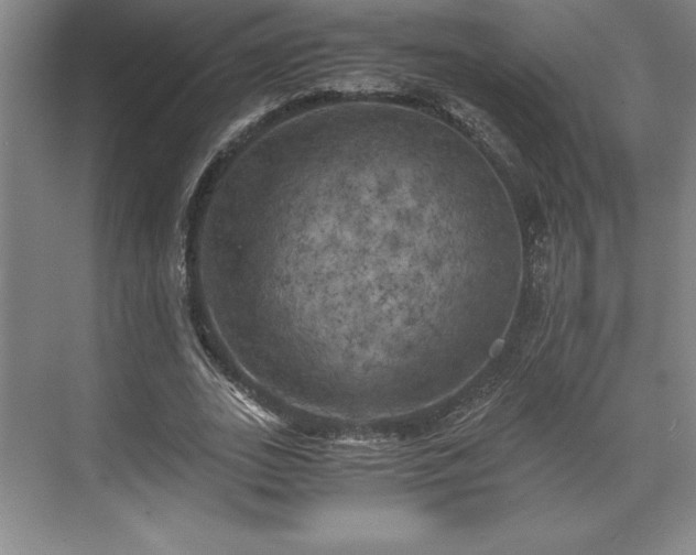 X0000071780727200607071429