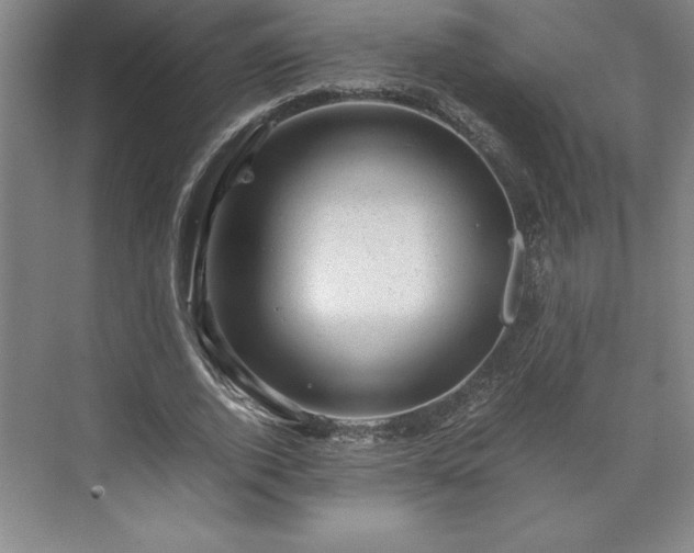 X0000071780728200607071429