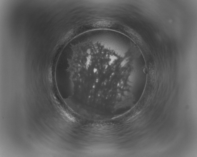 X0000071780729200607071429