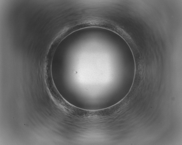 X0000071780730200607071429