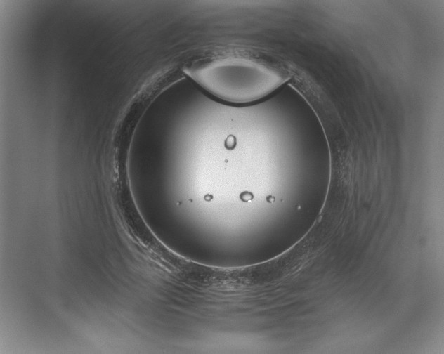 X0000071780731200607071429