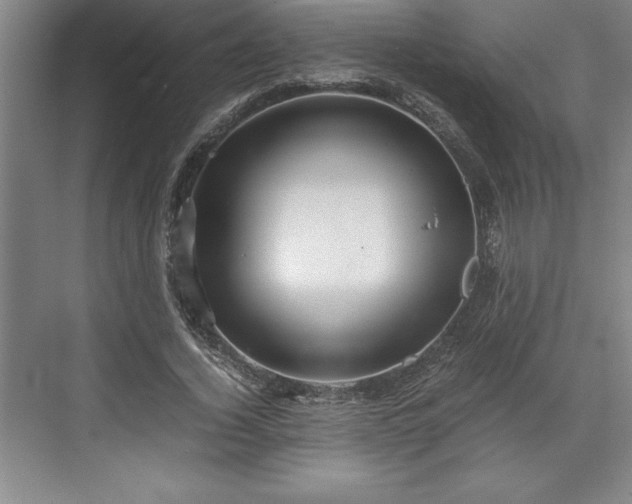 X0000071780732200607071429