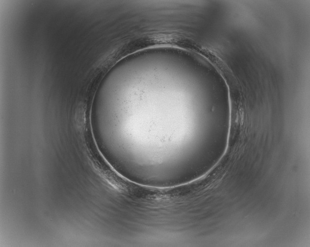 X0000071780733200607071429