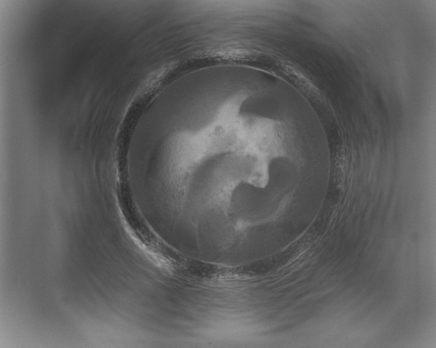 X0000071780734200607071429