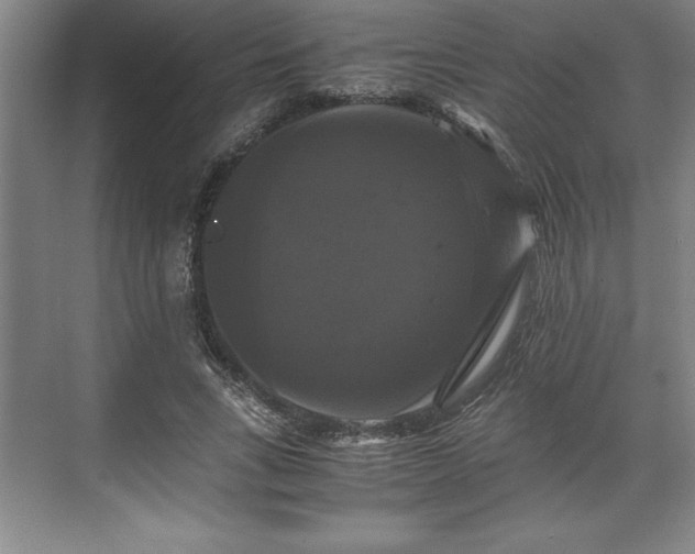 X0000071780735200607071429