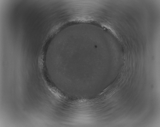 X0000071780736200607071429