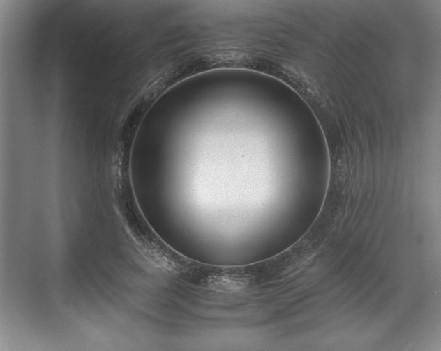 X0000071780739200607071429