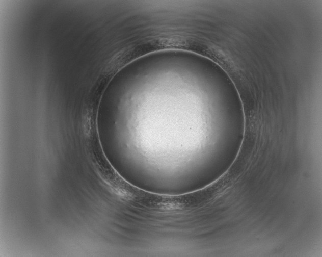 X0000071780741200607071429