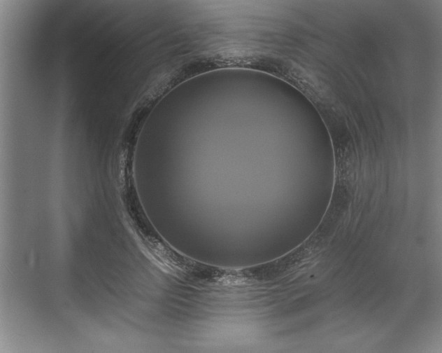 X0000071780742200607071429