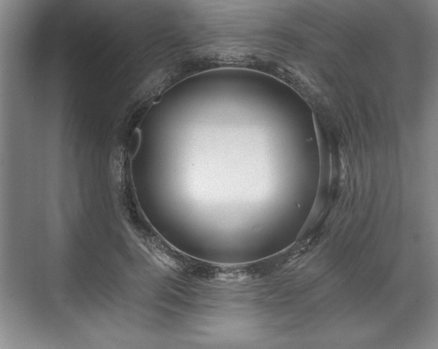 X0000071780744200607071429