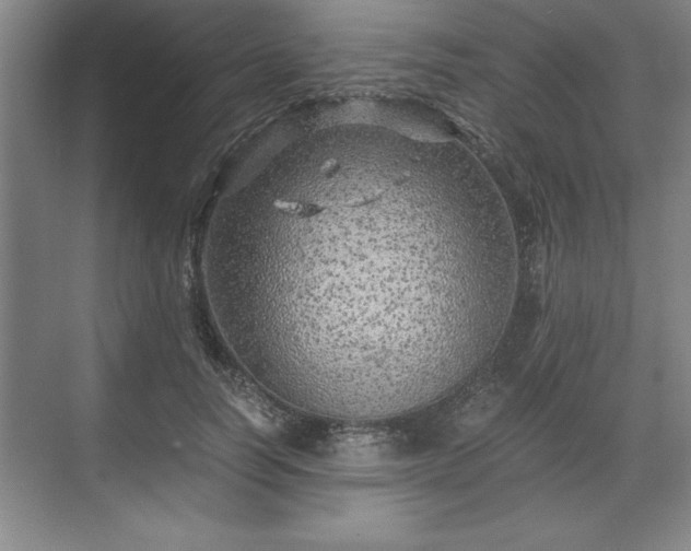 X0000071780746200607071429