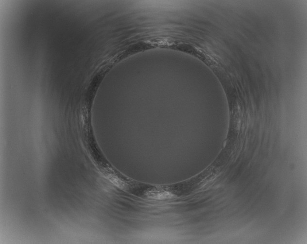 X0000071780747200607071429