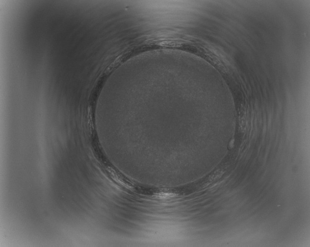 X0000071780748200607071429