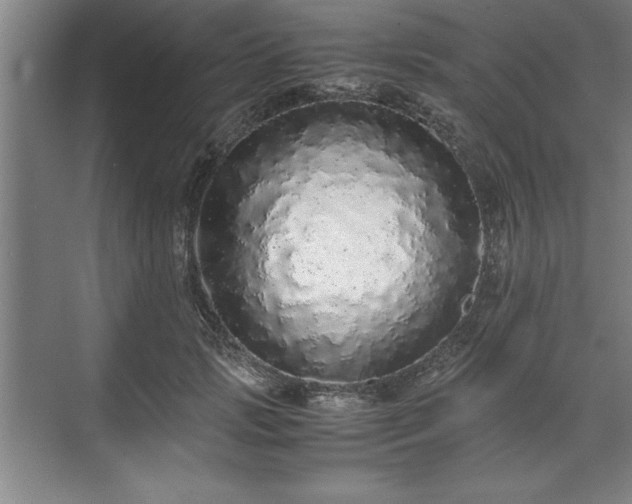 X0000071780749200607071429