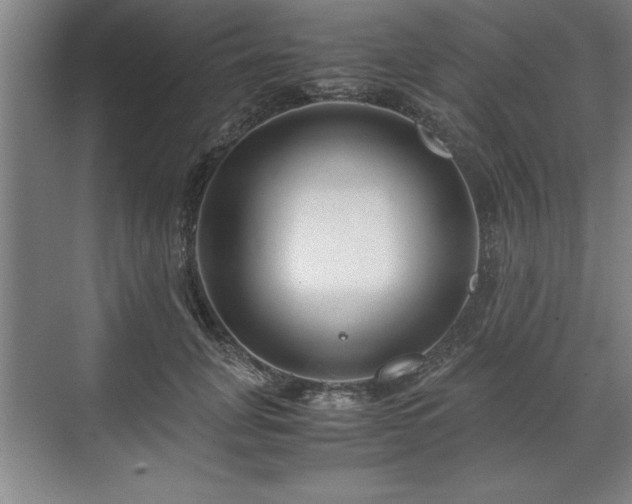 X0000071780751200607071429