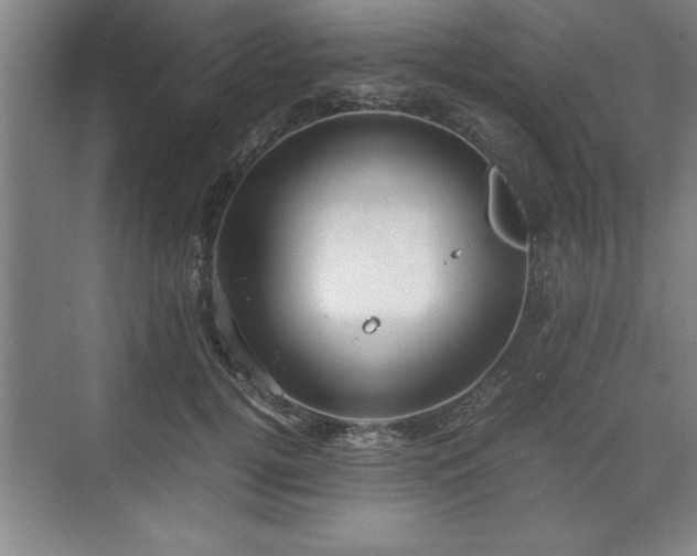 X0000071780752200607071429