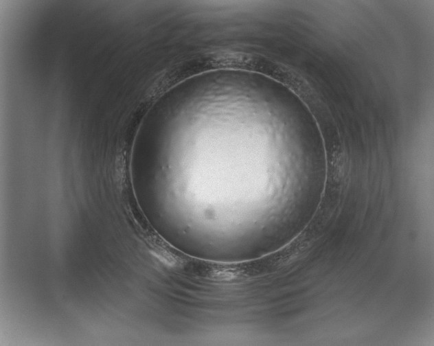 X0000071780753200607071429