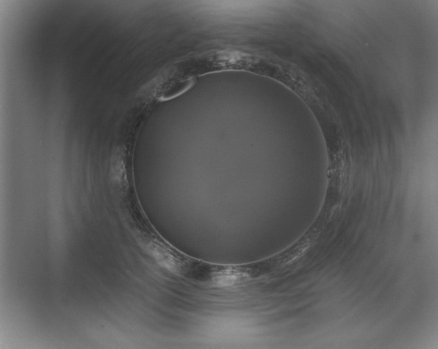 X0000071780754200607071429