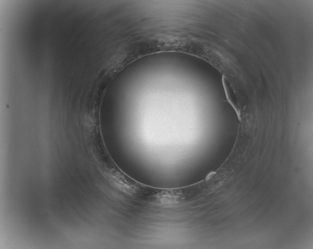 X0000071780756200607071429