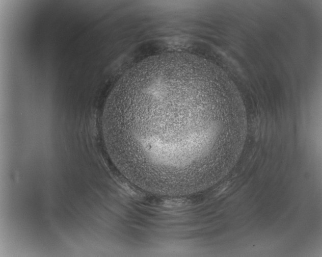 X0000071780757200607071429