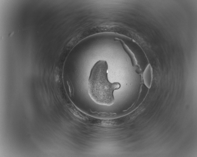 X0000071780758200607071429