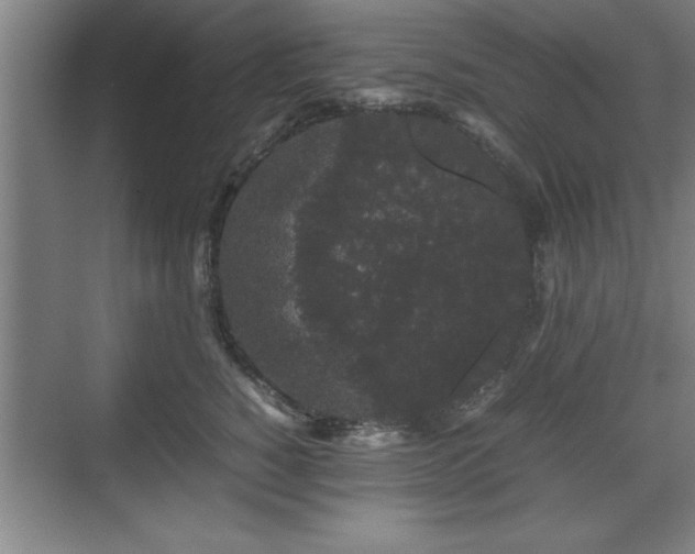 X0000071780760200607071429