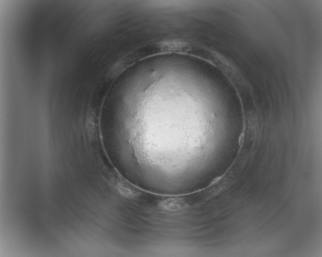 X0000071780761200607071429