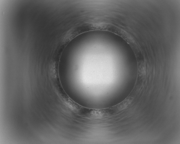 X0000071780764200607071429