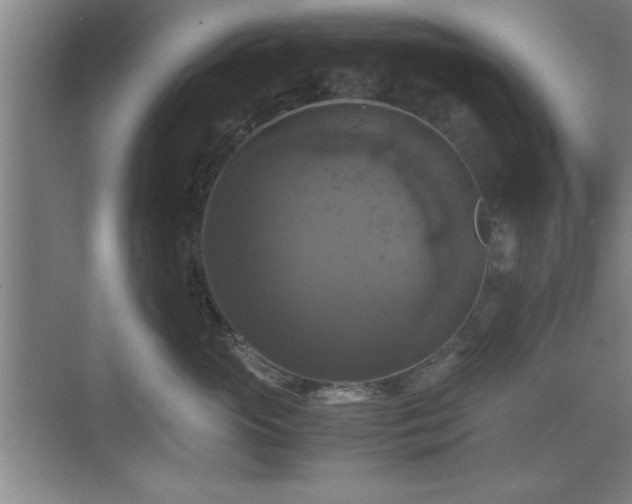 X0000071780765200607071430