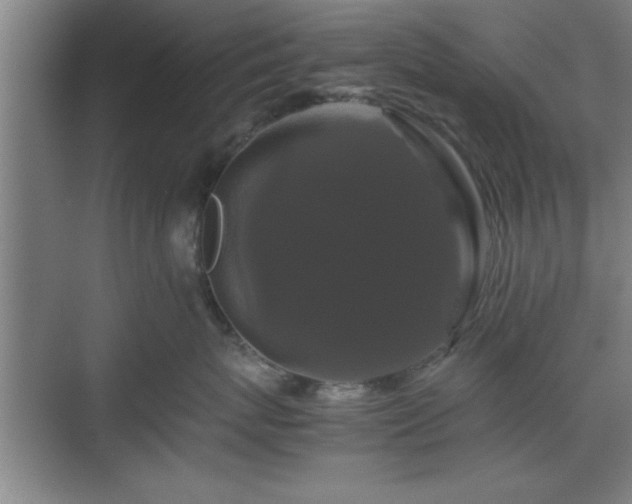 X0000071780767200607071430