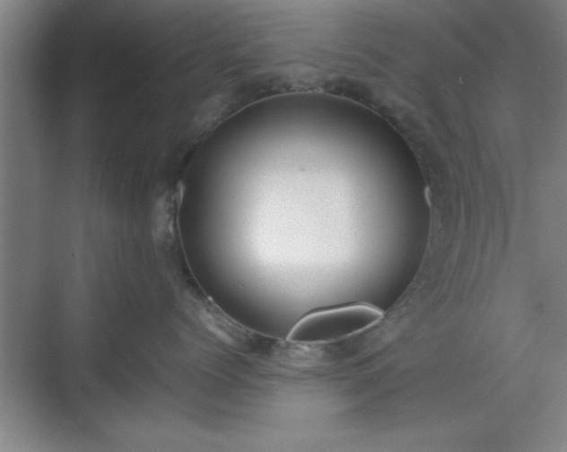 X0000071780768200607071430