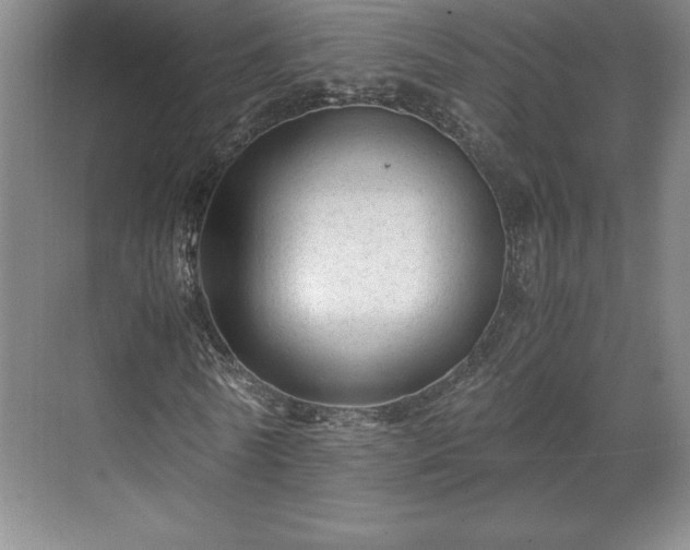 X0000071780770200607071429