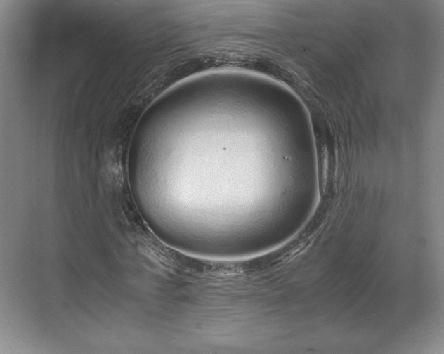 X0000071780771200607071429